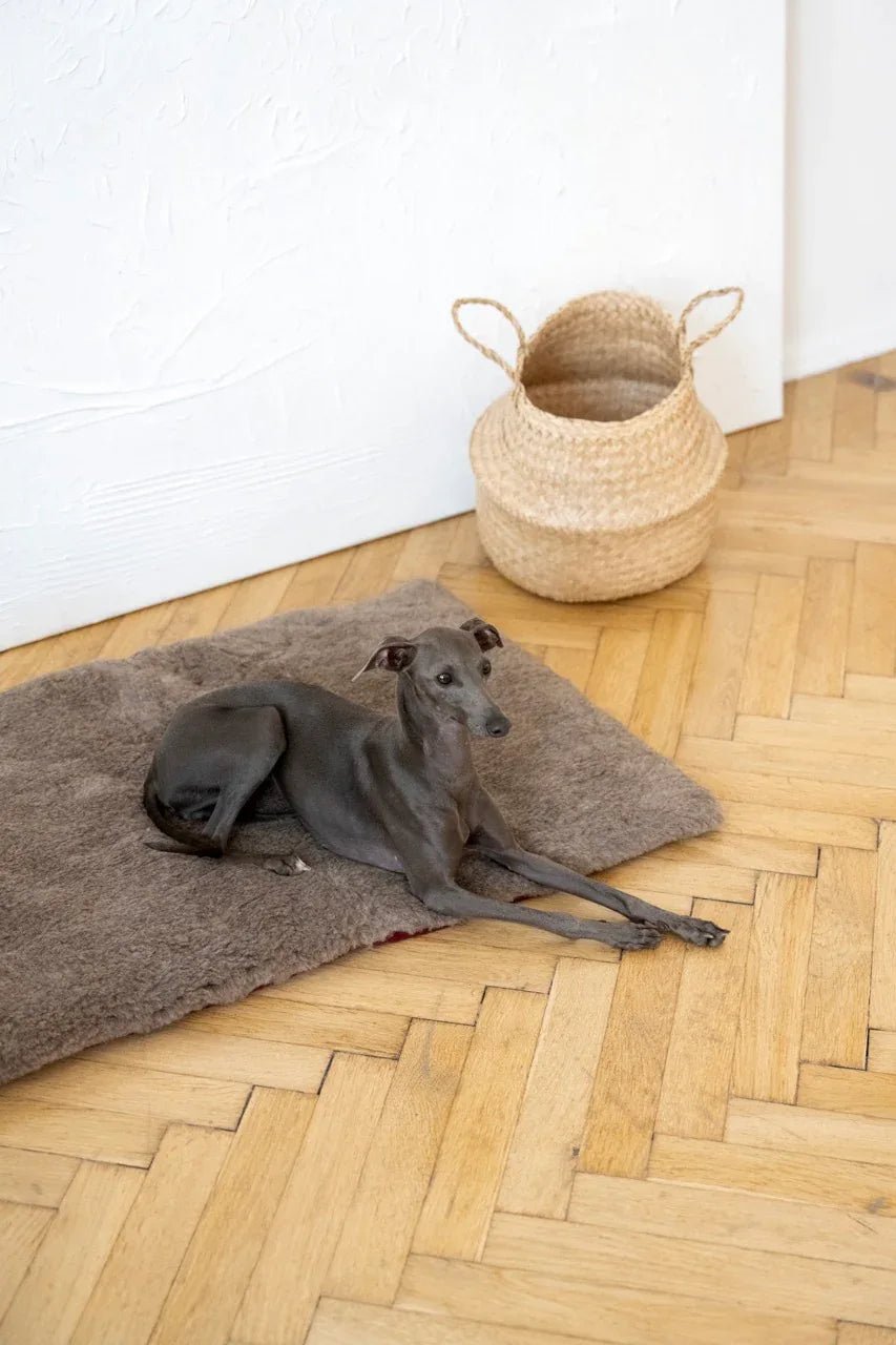 Colchoneta Cuadrada o Rectangular de Lana Natural para Mascotas - Beige - Dulces Mascotas BCN