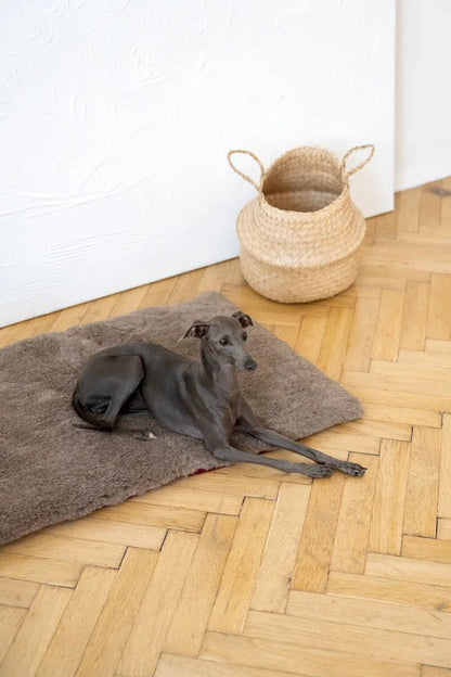 Colchoneta Cuadrada o Rectangular de Lana Natural para Mascotas - Beige - Dulces Mascotas BCN