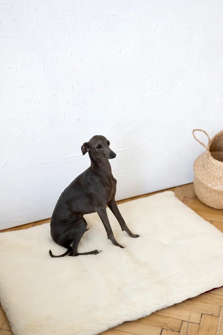 Colchoneta Cuadrada o Rectangular de Lana Natural para Mascotas - Blanca - Dulces Mascotas BCN