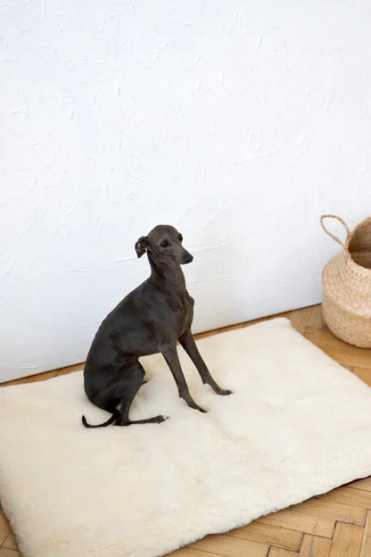 Colchoneta Cuadrada o Rectangular de Lana Natural para Mascotas - Blanca - Dulces Mascotas BCN