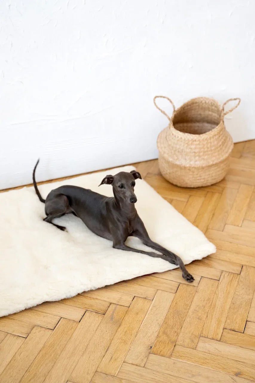 Colchoneta Cuadrada o Rectangular de Lana Natural para Mascotas - Blanca - Dulces Mascotas BCN