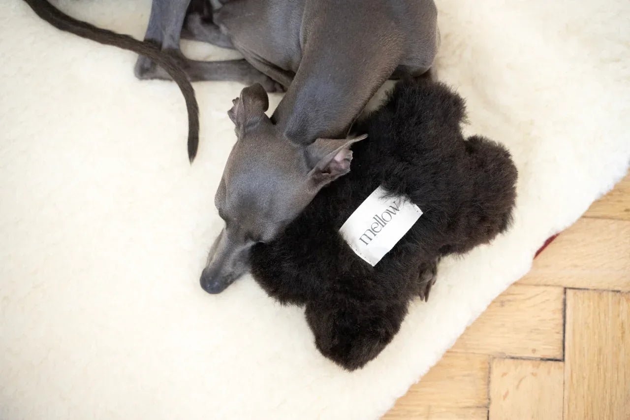 Colchoneta Cuadrada o Rectangular de Lana Natural para Mascotas - Blanca - Dulces Mascotas BCN