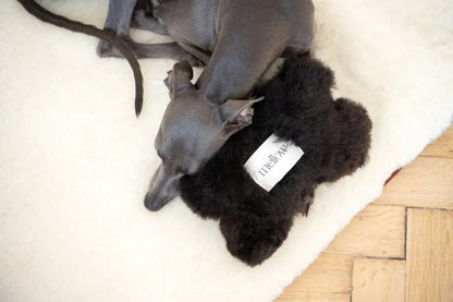 Colchoneta Cuadrada o Rectangular de Lana Natural para Mascotas - Blanca - Dulces Mascotas BCN