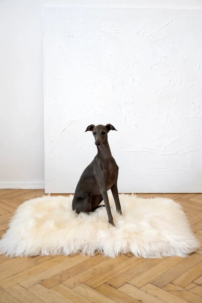 Colchoneta Cuadrada o Rectangular de Piel de Oveja Natural para Mascotas - Blanca - Dulces Mascotas BCN