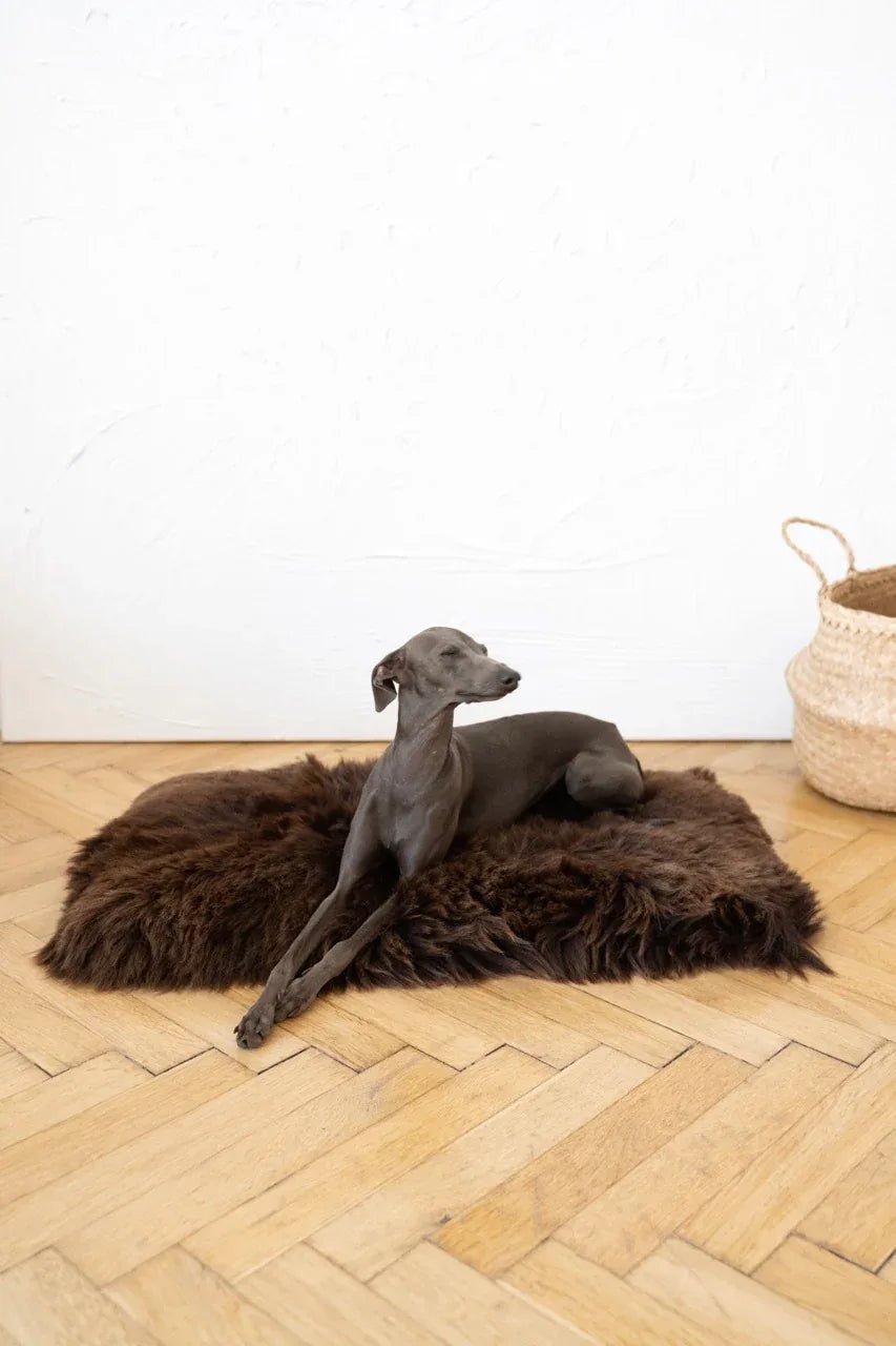 Colchoneta Cuadrada o Rectangular de Piel de Oveja Natural para Mascotas - Marrón - Dulces Mascotas BCN