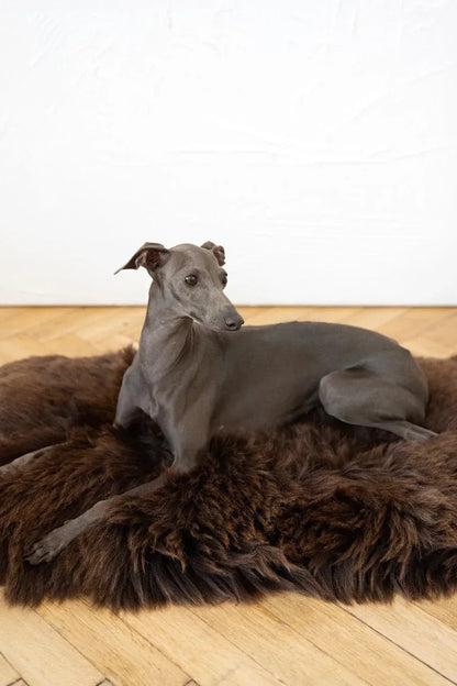 Colchoneta Cuadrada o Rectangular de Piel de Oveja Natural para Mascotas - Marrón - Dulces Mascotas BCN