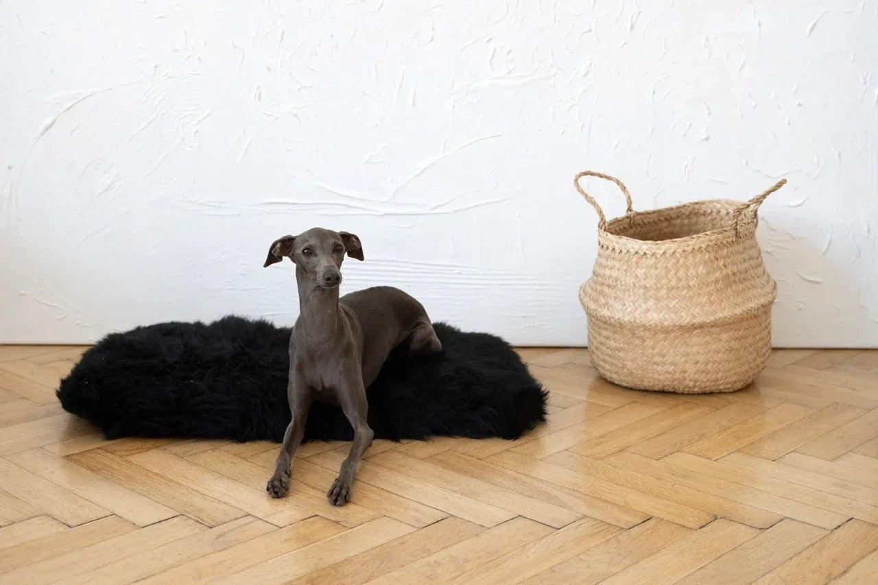 Colchoneta Cuadrada o Rectangular de Piel de Oveja Natural para Mascotas - Negra - Dulces Mascotas BCN
