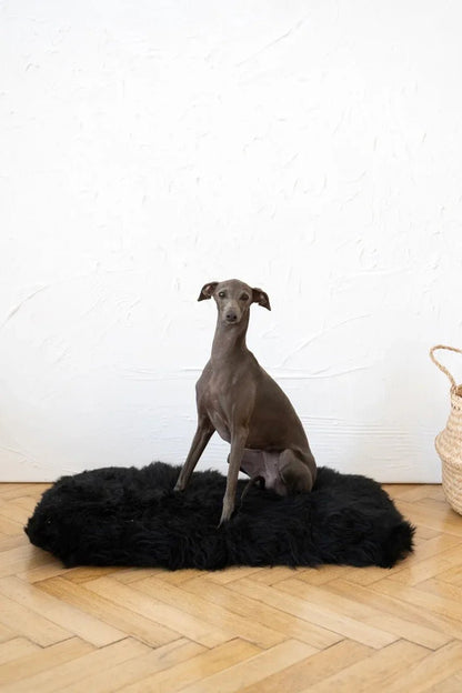 Colchoneta Cuadrada o Rectangular de Piel de Oveja Natural para Mascotas - Negra - Dulces Mascotas BCN