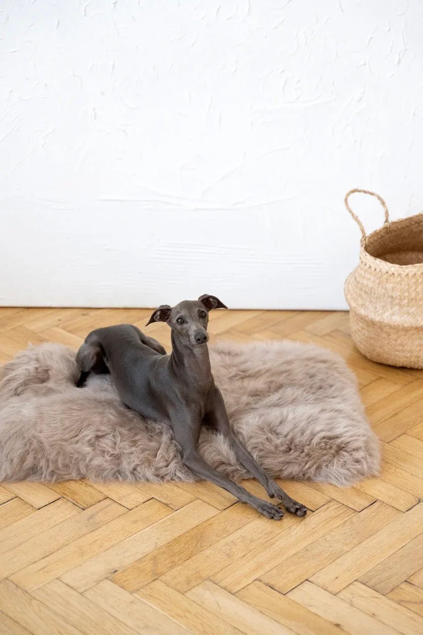Colchoneta Cuadrada o Rectangular de Piel de Oveja para Mascotas - Gris - Dulces Mascotas BCN