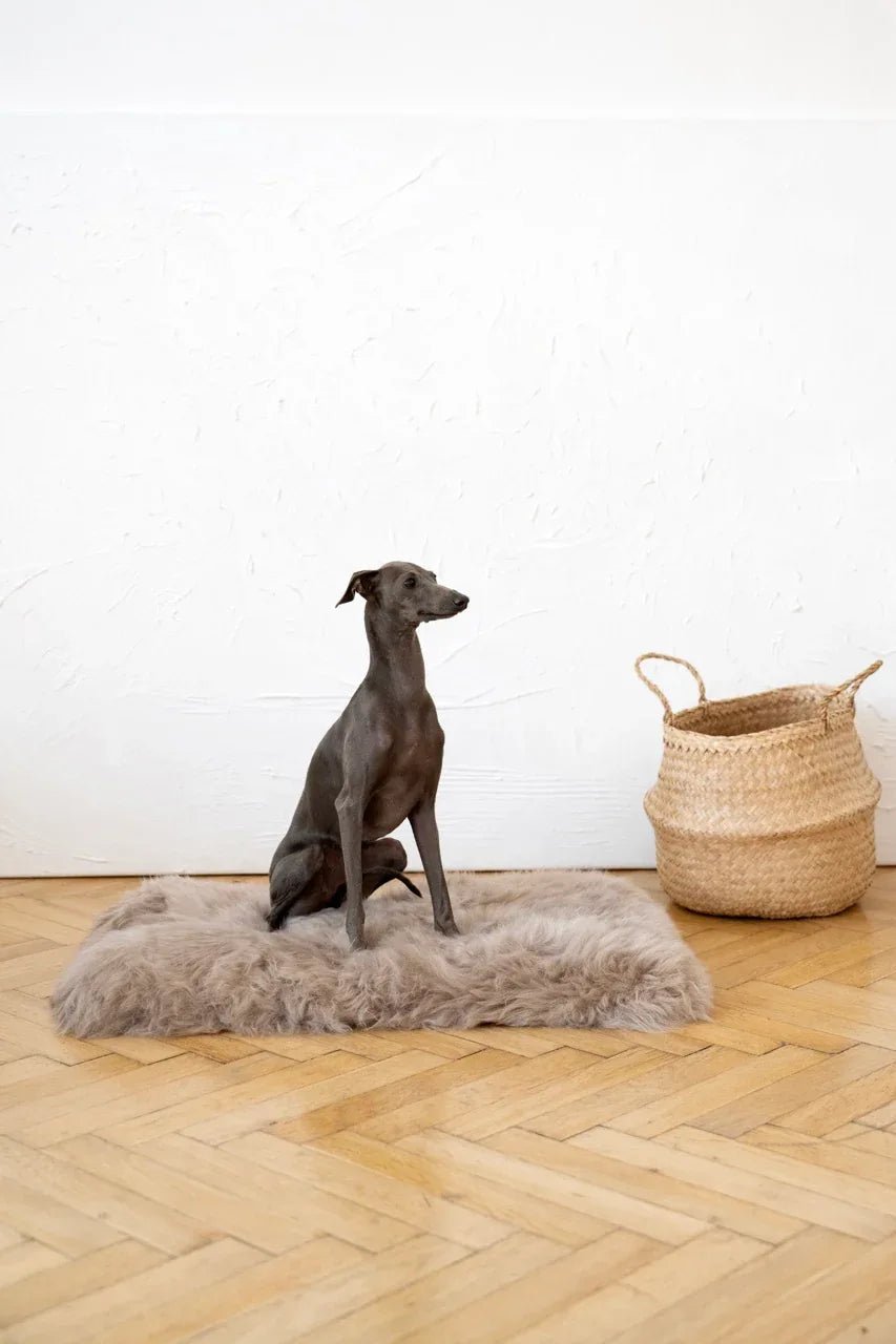 Colchoneta Cuadrada o Rectangular de Piel de Oveja para Mascotas - Gris - Dulces Mascotas BCN