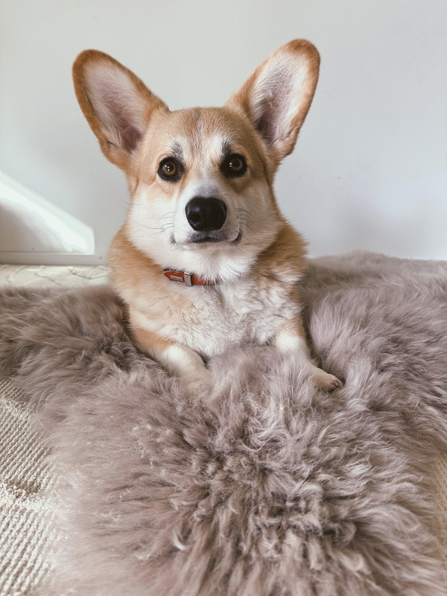 Colchoneta Cuadrada o Rectangular de Piel de Oveja para Mascotas - Gris - Dulces Mascotas BCN