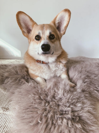 Colchoneta Cuadrada o Rectangular de Piel de Oveja para Mascotas - Gris - Dulces Mascotas BCN