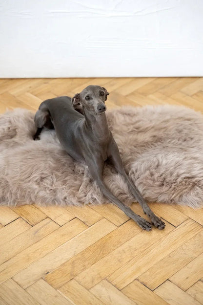 Colchoneta Cuadrada o Rectangular de Piel de Oveja para Mascotas - Gris - Dulces Mascotas BCN