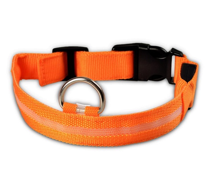 Collar de Nylon luminoso - Dulces Mascotas BCN