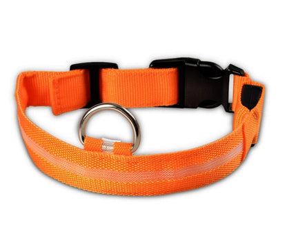 Collar de Nylon luminoso - Dulces Mascotas BCN