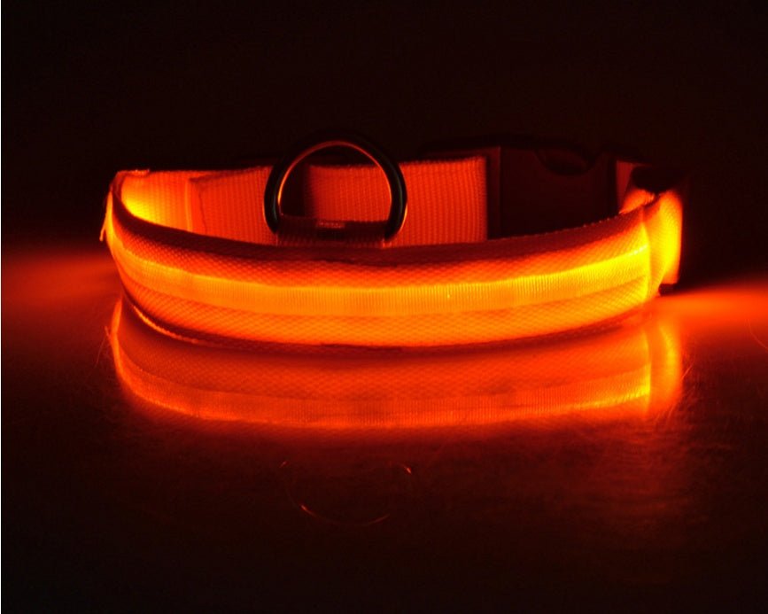 Collar de Nylon luminoso - Dulces Mascotas BCN