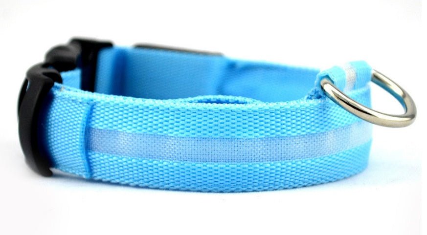 Collar de Nylon luminoso - Dulces Mascotas BCN