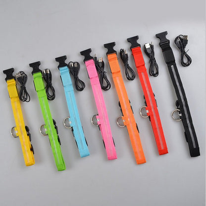 Collar de Nylon luminoso - Dulces Mascotas BCN