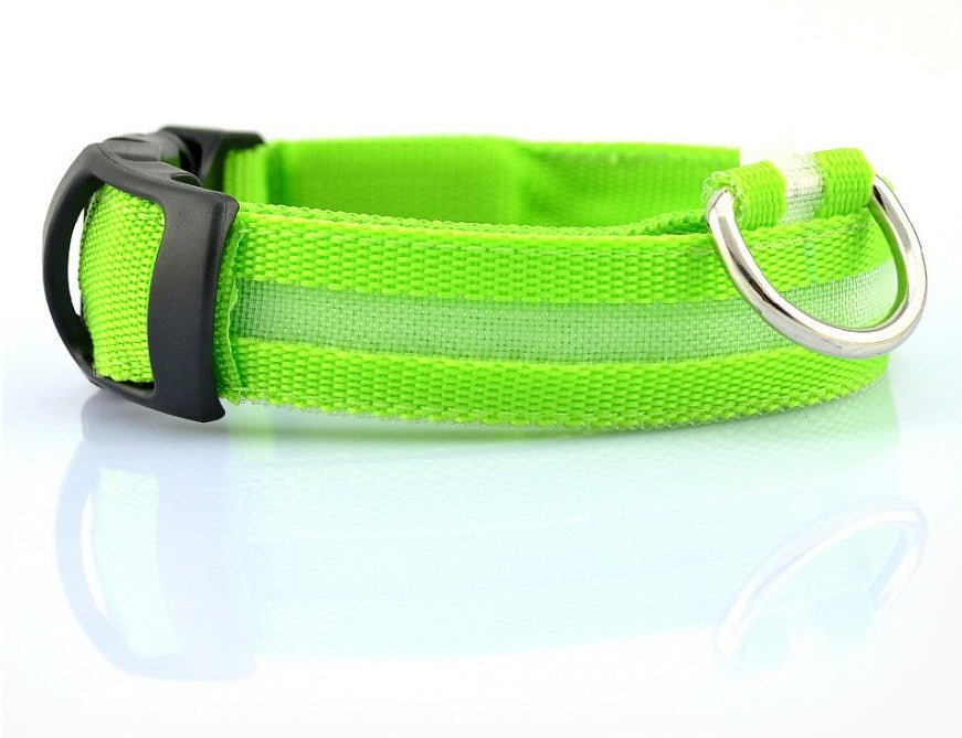Collar de Nylon luminoso - Dulces Mascotas BCN