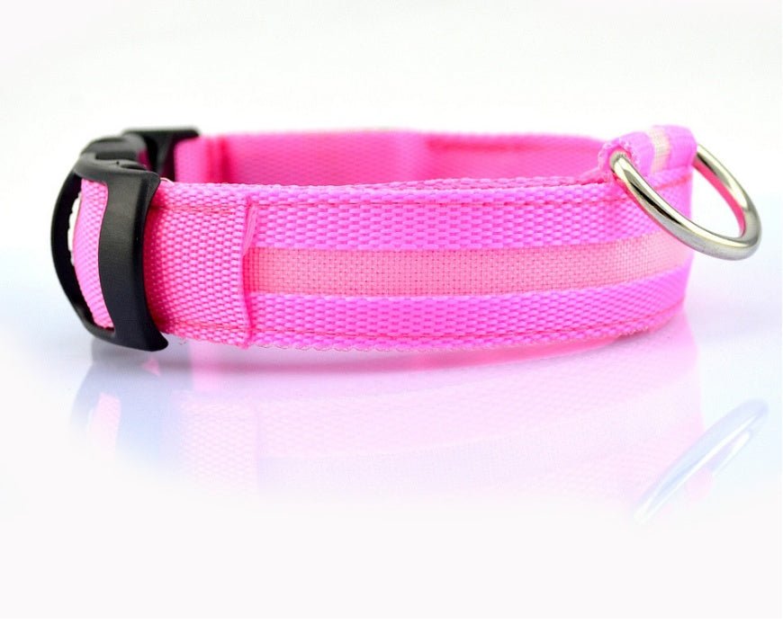 Collar de Nylon luminoso - Dulces Mascotas BCN
