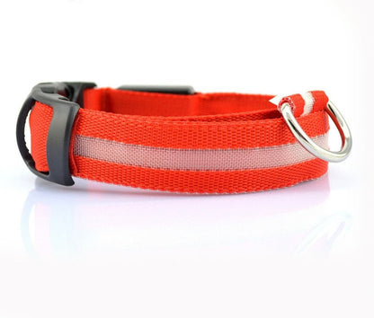 Collar de Nylon luminoso - Dulces Mascotas BCN
