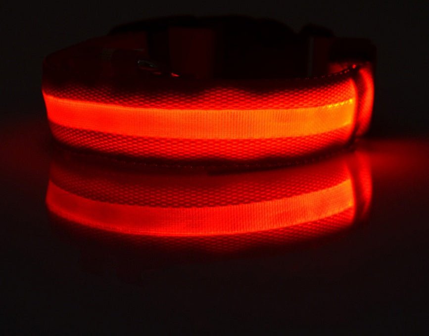 Collar de Nylon luminoso - Dulces Mascotas BCN