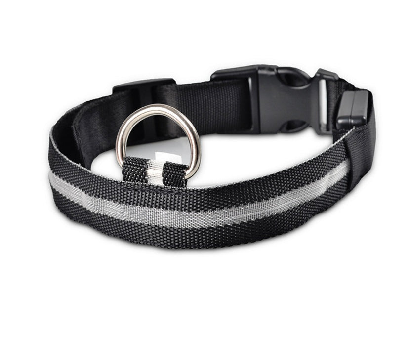 Collar de Nylon luminoso - Dulces Mascotas BCN