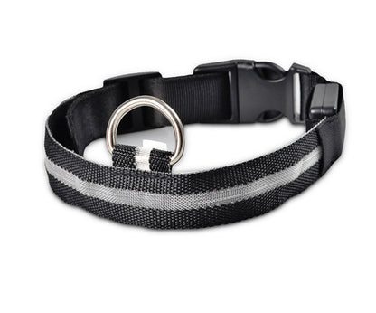 Collar de Nylon luminoso - Dulces Mascotas BCN