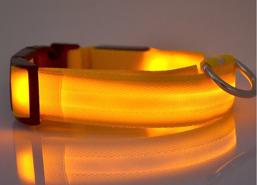 Collar de Nylon luminoso - Dulces Mascotas BCN