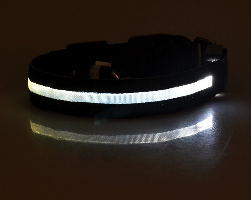 Collar de Nylon luminoso - Dulces Mascotas BCN