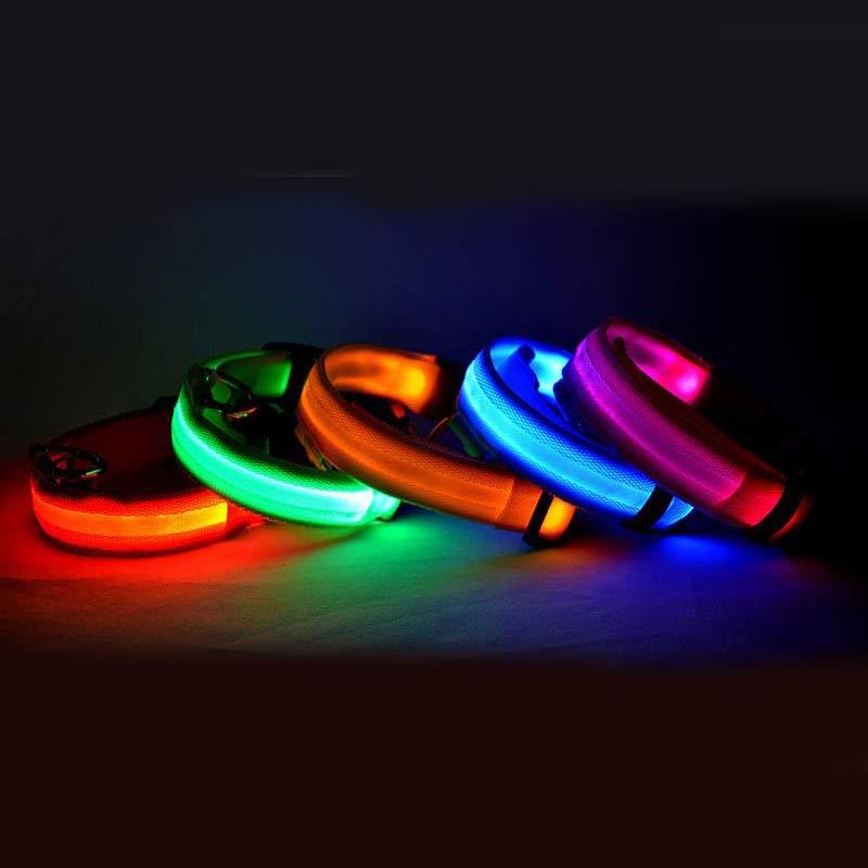 Collar de Nylon luminoso - Dulces Mascotas BCN