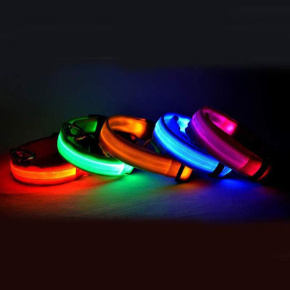 Collar de Nylon luminoso - Dulces Mascotas BCN
