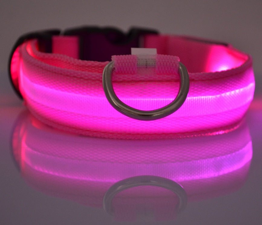 Collar de Nylon luminoso - Dulces Mascotas BCN