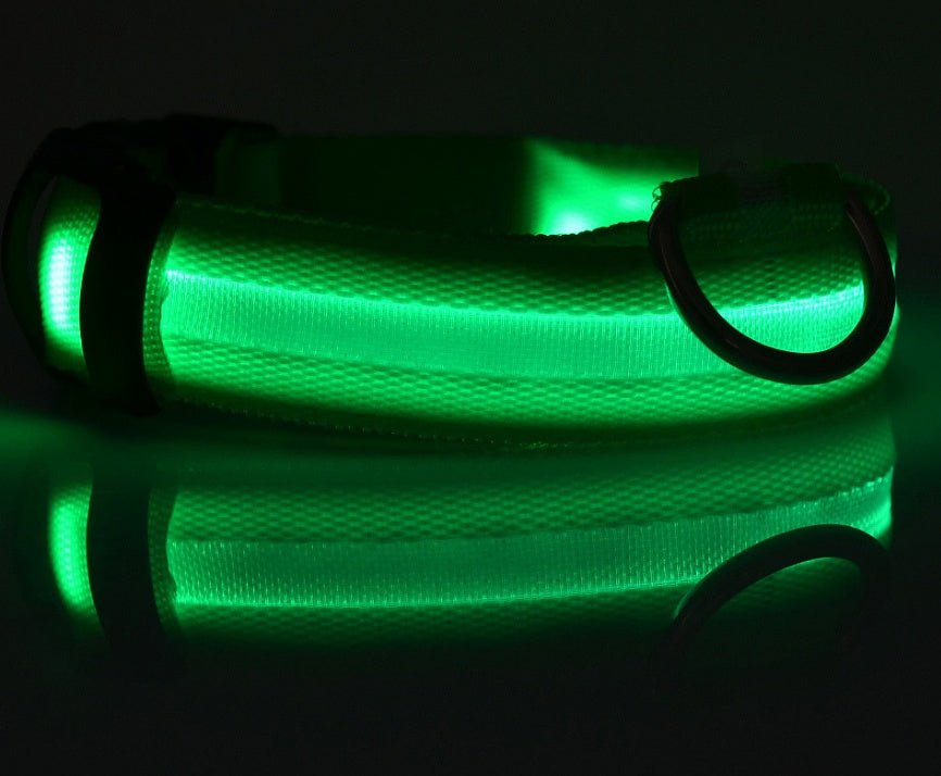 Collar de Nylon luminoso - Dulces Mascotas BCN