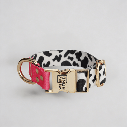 Collar para Perro CandyMix | Colores Dulces y Divertidos - Dulces Mascotas BCN