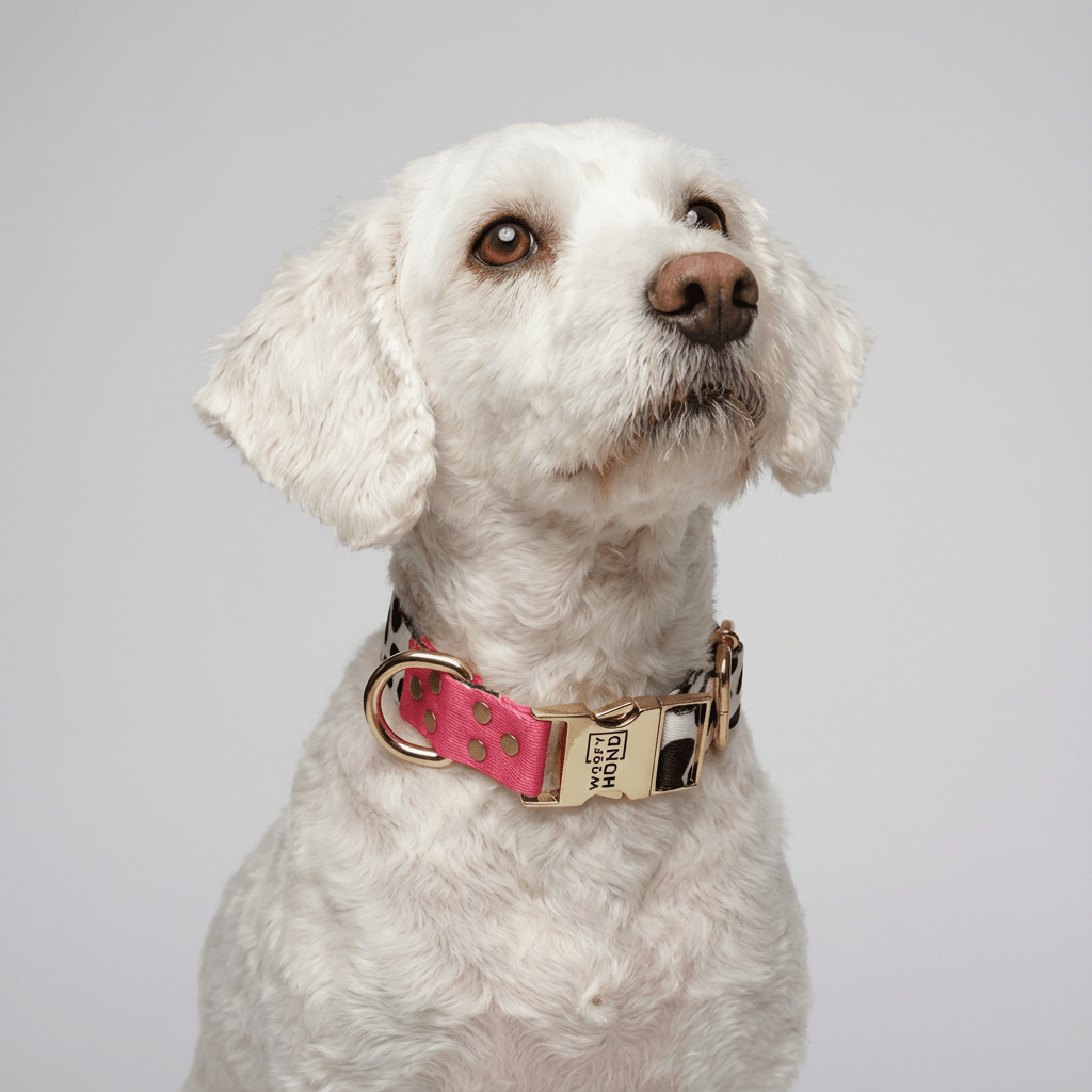 Collar para Perro CandyMix | Colores Dulces y Divertidos - Dulces Mascotas BCN