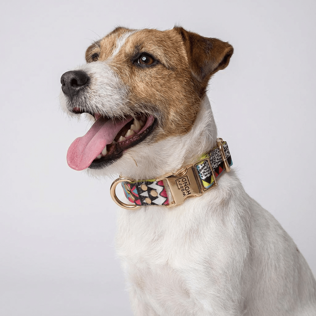 Collar para Perro Ethnic Vibrance | Diseño Étnico Artesanal - Dulces Mascotas BCN