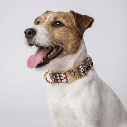 Collar para Perro Ethnic Vibrance | Diseño Étnico Artesanal - Dulces Mascotas BCN