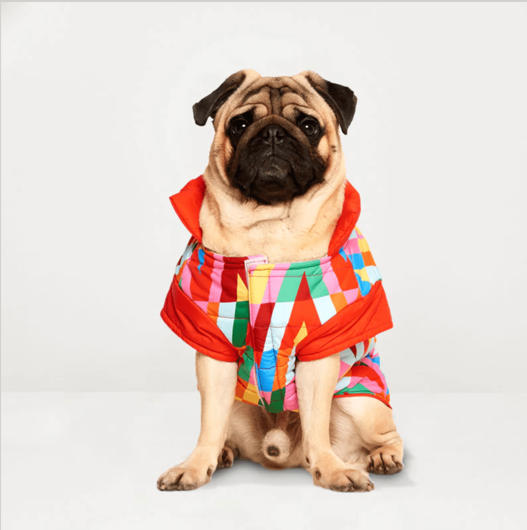 Color Splash Wasserdichte Pufferjacke - Dulces Mascotas BCN