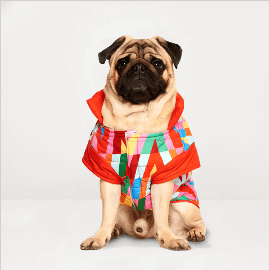 Color Splash Wasserdichte Pufferjacke - Dulces Mascotas BCN