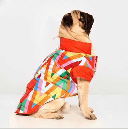 Color Splash Wasserdichte Pufferjacke - Dulces Mascotas BCN