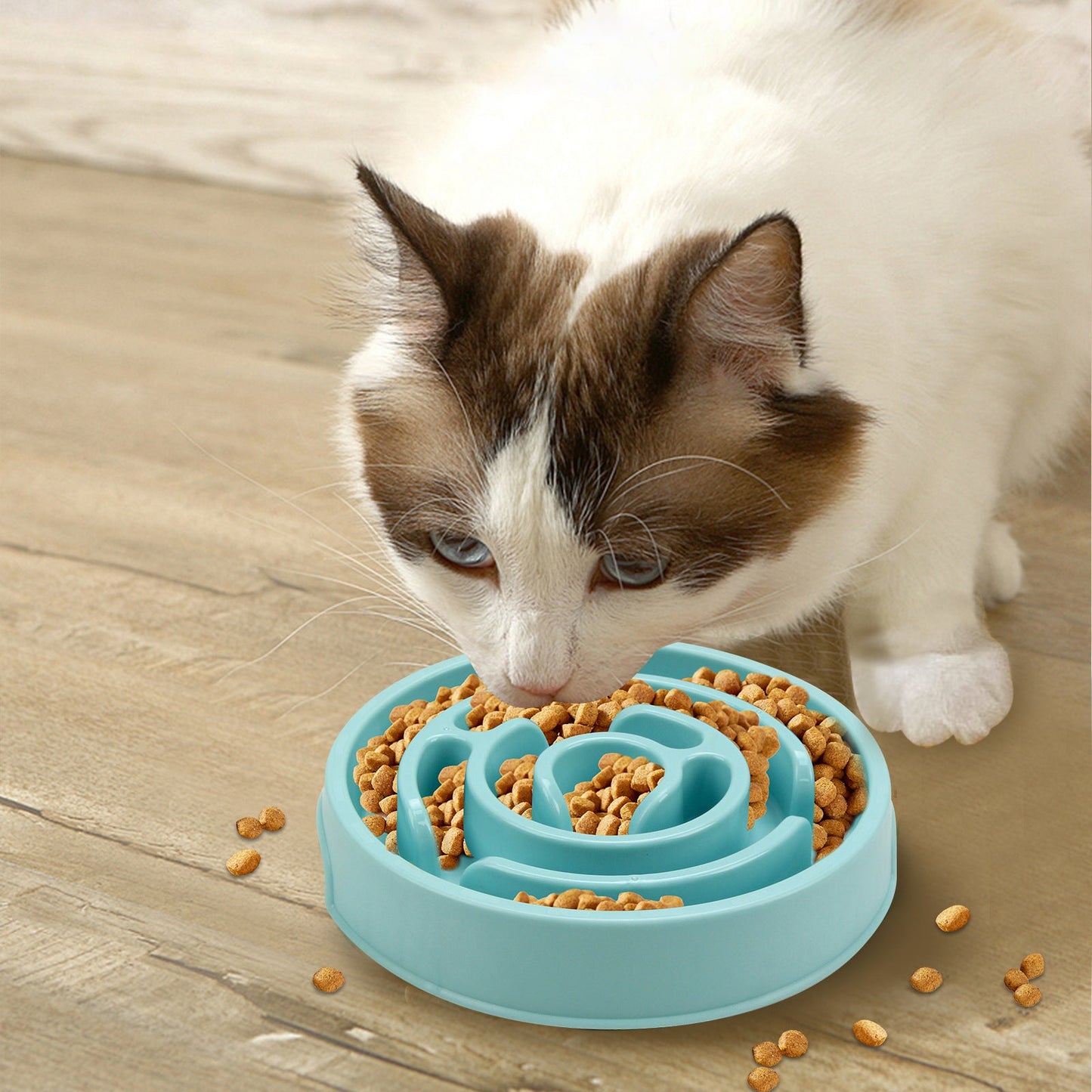 Comedero Antivoracidad de Silicona para Perros | Puzzle Lick Mat - Dulces Mascotas BCN