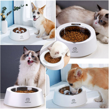 Comedero Inteligente con Balanza para Perros y Gatos | Control de Raciones - Dulces Mascotas BCN