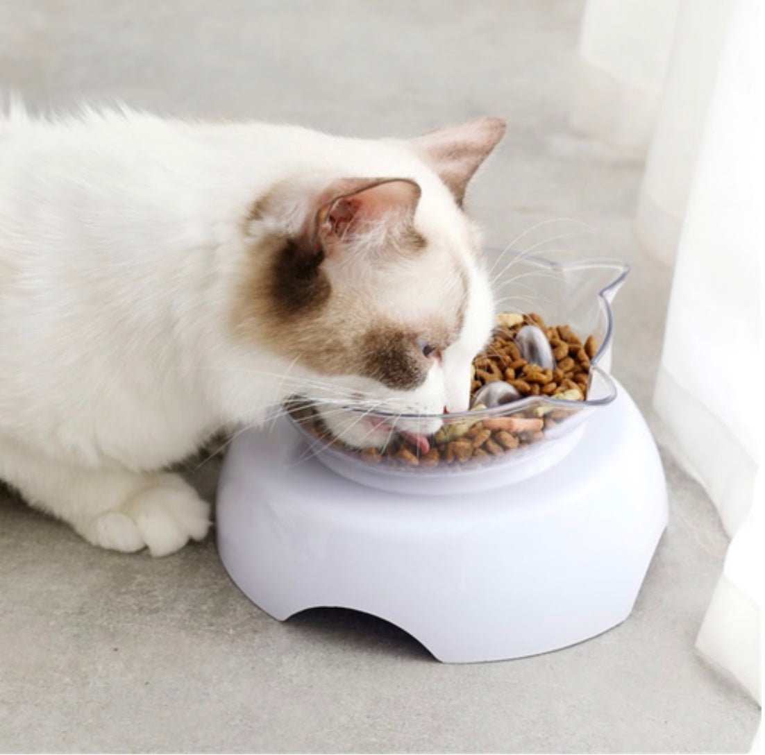 Comedero lento elevado para gatos (antivómito) - Dulces Mascotas BCN