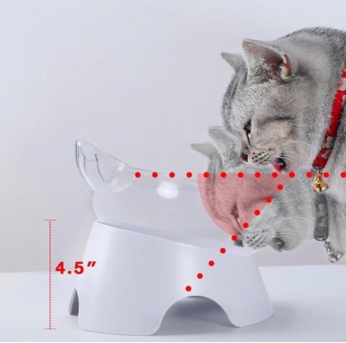 Comedero lento elevado para gatos (antivómito) - Dulces Mascotas BCN