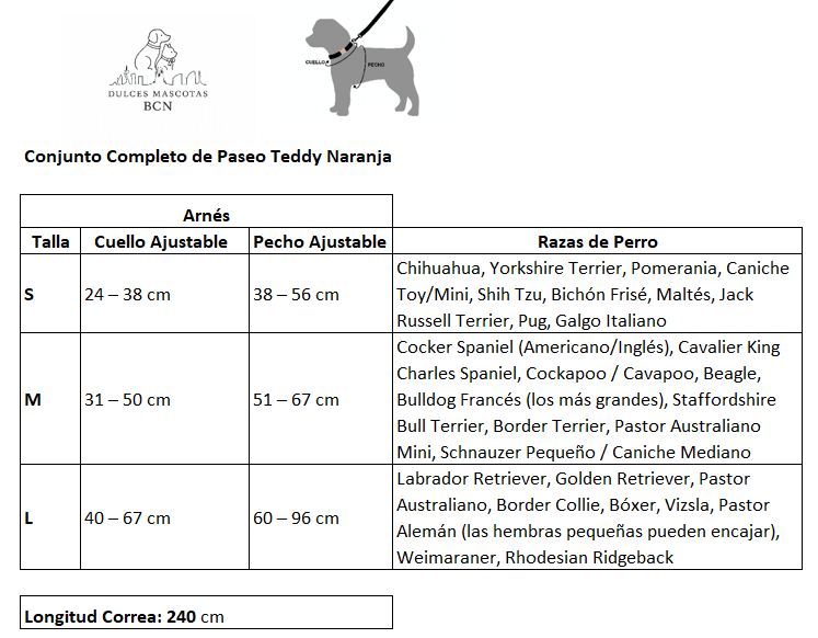 Conjunto Arnés y Correa para Perro Teddy Violeta | Secado Rápido - Dulces Mascotas BCN
