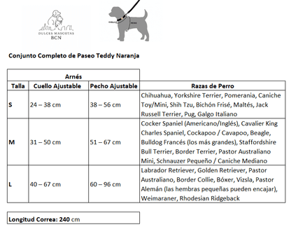 Conjunto Arnés y Correa para Perro Teddy Violeta | Secado Rápido - Dulces Mascotas BCN