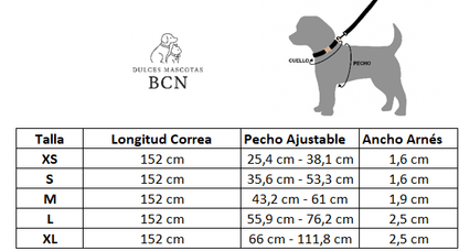 Conjunto Correa y Arnés Step - In - Gris Claro - Dulces Mascotas BCN