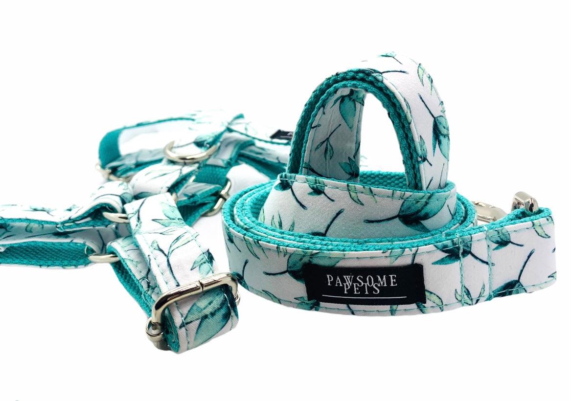 Conjunto Correa y Arnés Step - In - Hoja de Menta - Dulces Mascotas BCN