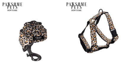 Conjunto Correa y Arnés Step - In - Leopardo - Dulces Mascotas BCN